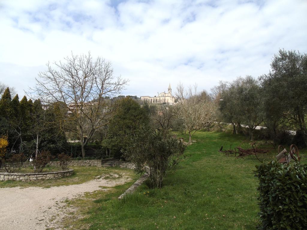 Agriturismo Poponi Villa Todi Exterior photo